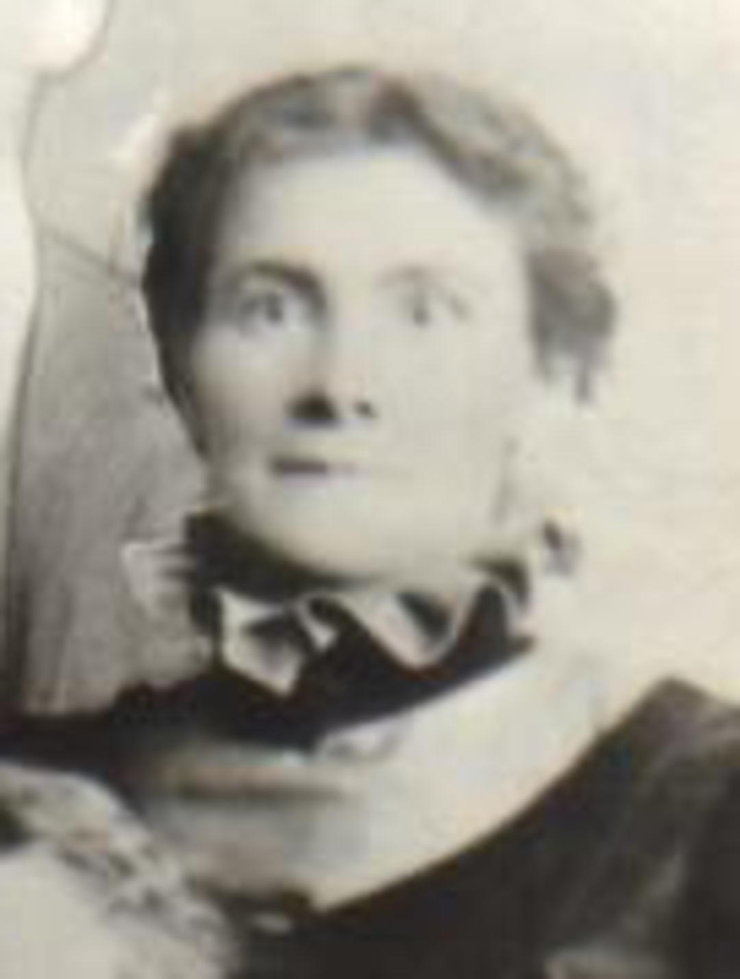 Jane Evans Perkins (1861 - 1935) Profile